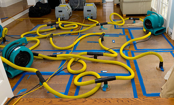 Professional Basement Flood Cleanup technician working in Northridge, OH